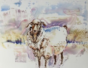 Harmony (Fiber Goat)