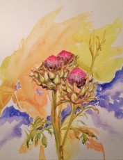 The Blossom of the Thistle